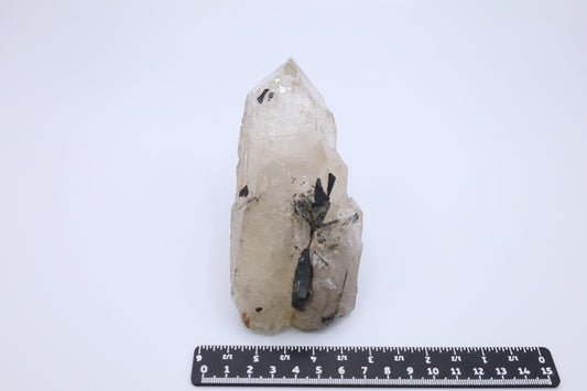 Bergkristall mit Turmalin