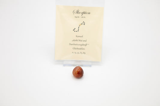 Glücksstein Skorpion Karneol