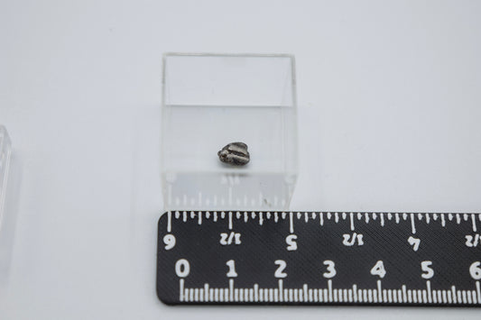 Meteorit in Lupenglas