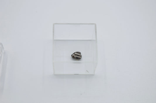 Meteorit in Lupenglas